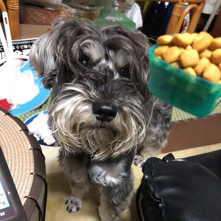 9892c704 7ff6 435b 9e9b c55fcdea378d 1524830496450