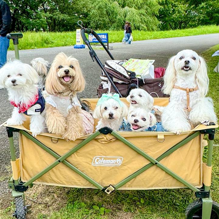 9892d772 1d40 4ba5 a50e 95b7af4ac245 1716733244923