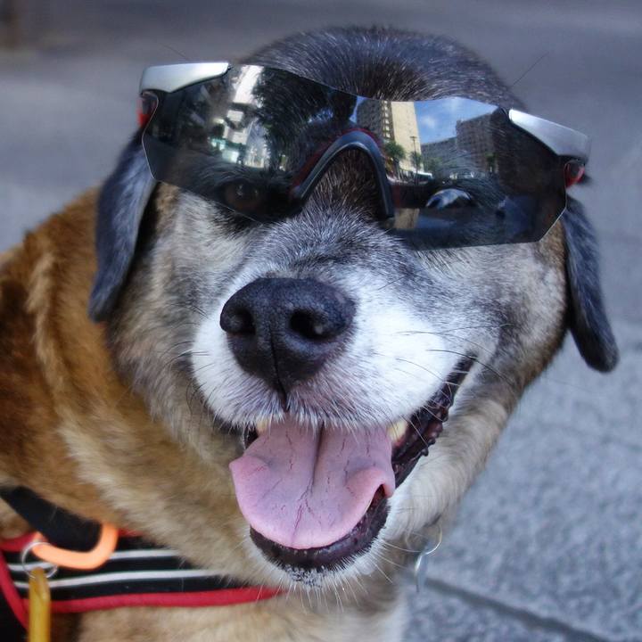 9892ed4e 696d 4a4b 8559 9122665b435e 1641087548847