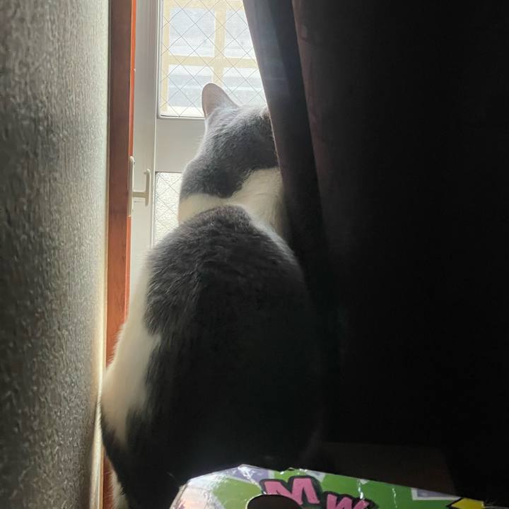 9893095d 8745 42b8 8d49 d70ad45fbabf 1734216331329