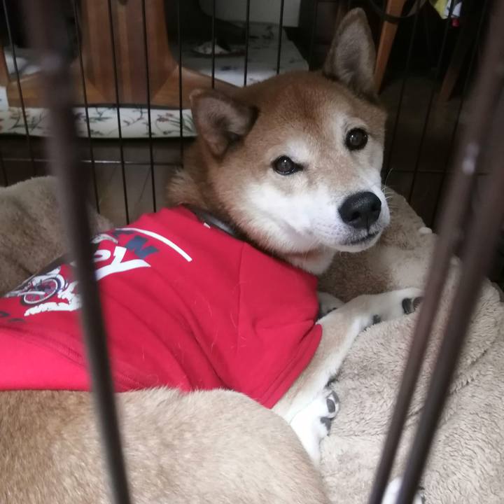 98932067 7d0d 476a 9aa4 6477f7af1bce 1667104980654