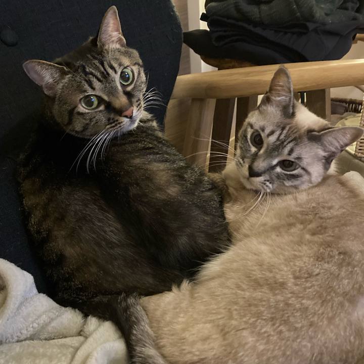 98933f79 c821 4984 9d32 ae37c6b3be55 1610848119809