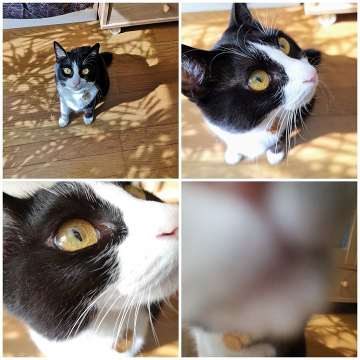 98935379 2dde 4699 8b3c 3f37f674eb33 1572755602812