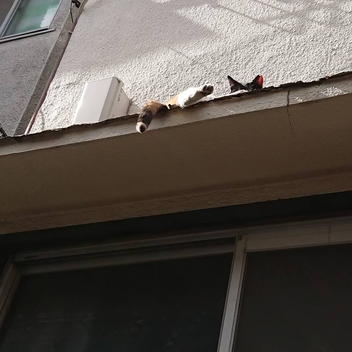 98937953 20f4 43f7 847b 04a2dfbd9f5e 1590362476298