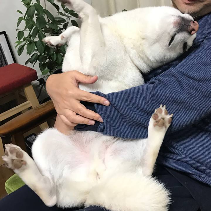 98938396 4188 4b97 ae52 5ff66f9bd16a 1509191359026