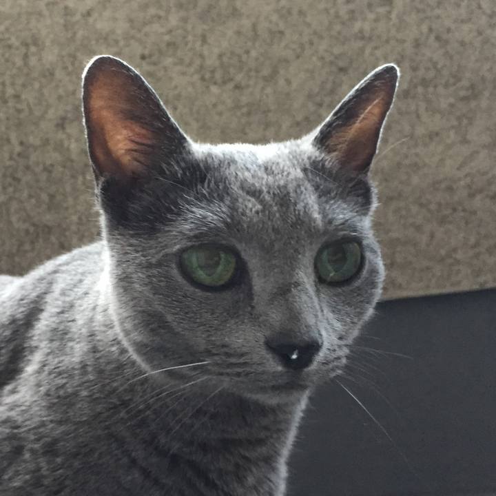 9893998a c0f1 405e 996e d34e5b8f351b 1562886449517