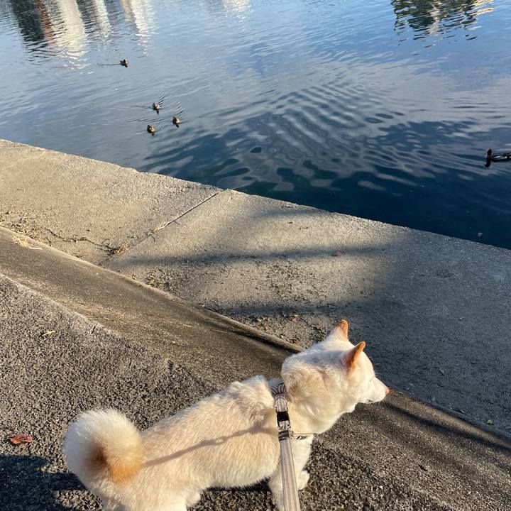 98939e83 3584 4ce5 a5a9 a239de2cced0 1638193738992