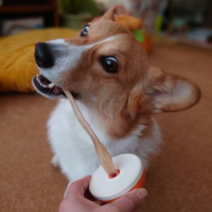 9893b052 ba4a 43b5 8b7d 3d08a3b31b39 1768046507217