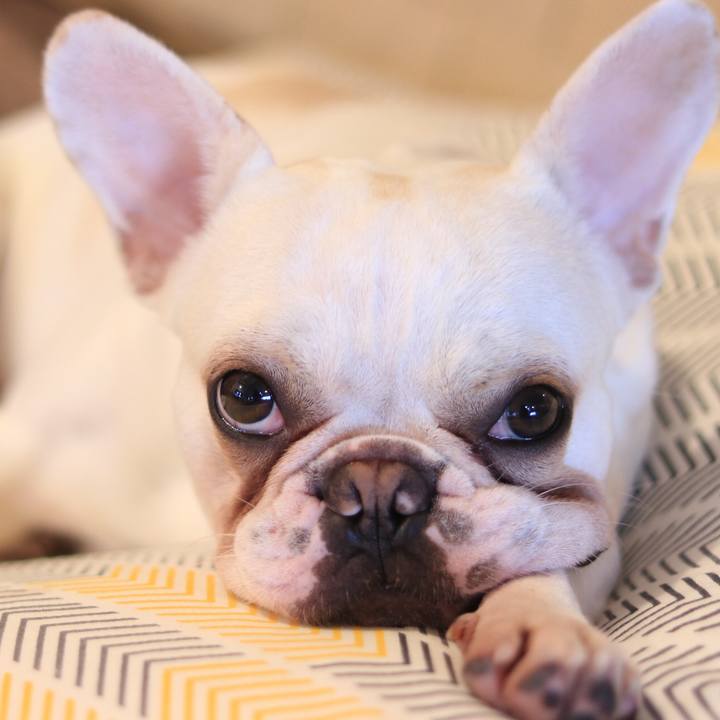 9893c2f3 a809 4c8f 983a 3f39748f42eb 1510237694766