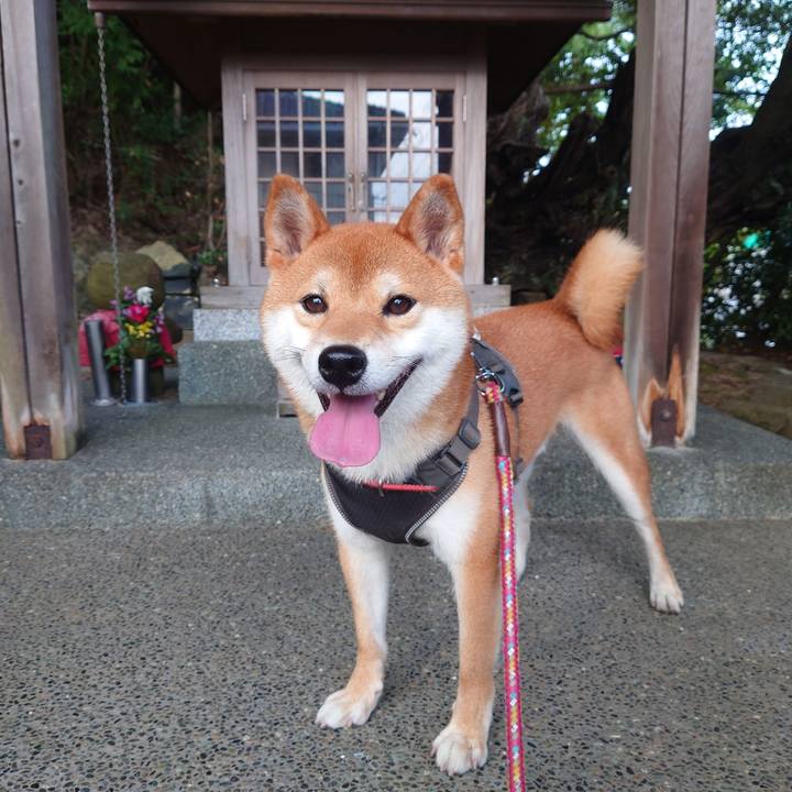 9893fd3d 6673 4fc9 814a c5080b748833 1758599334644