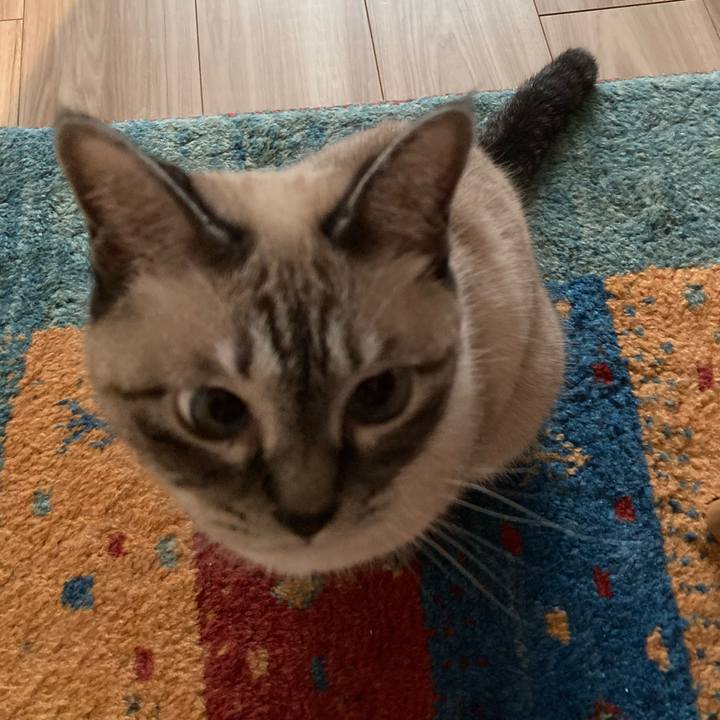 98943a24 a4fd 487d 9799 8c5e4ed25830 1759539300907