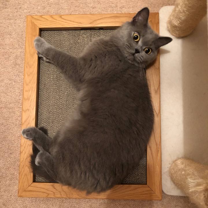 98945706 3c3e 4229 a849 f831f3567a3f 1530920903036