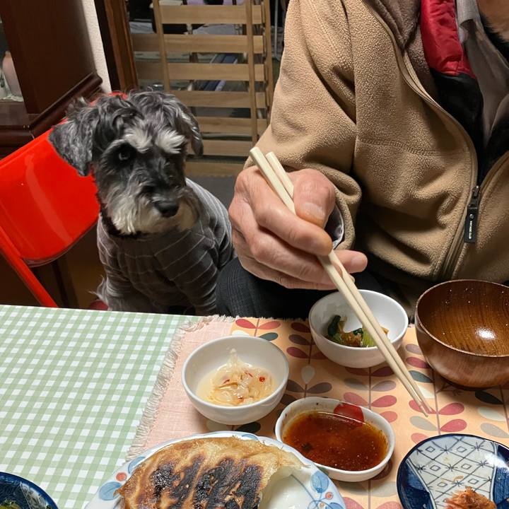 9894770b 06e8 4552 91e6 000fe27c8b43 1733493215924