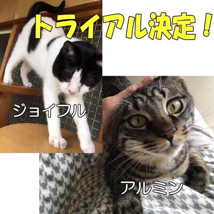 98949b42 4644 4baa b933 8cd4460f36ee 1552280377191