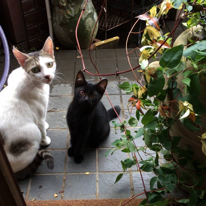 9894a76f ab7c 4110 aed4 e06a2c82ae26 1566980845111