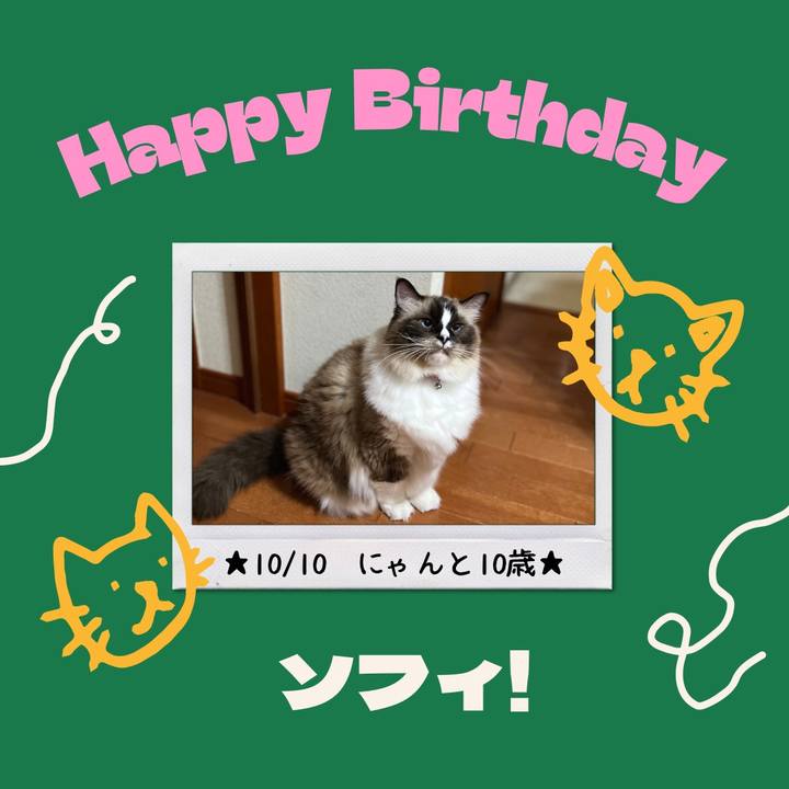 9894f6f0 7414 4950 8058 84ab0a6ac4ae 1665355470601