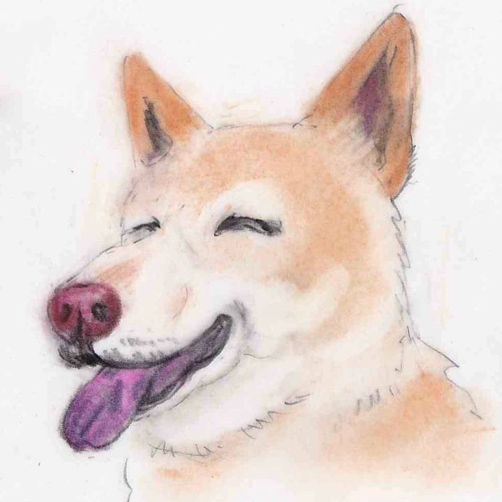 9894f7a0 e397 4257 abdf 03a89946e967 1638359803345