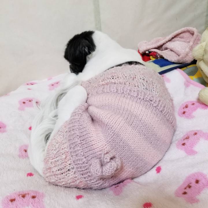 98952c80 c36c 4e9f 9ca0 11af564c2c83 1614688527372