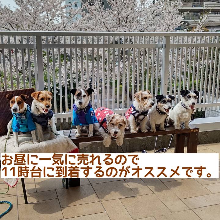 98957ded 8d1f 422c abe0 91d9b59357e9 1621841763718