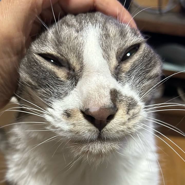 989586c2 278e 4472 95b5 9cf3134514d9 1777121505078