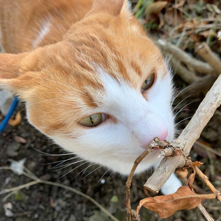 98959459 3301 4208 a3fd b41ecb300789 1577928634483