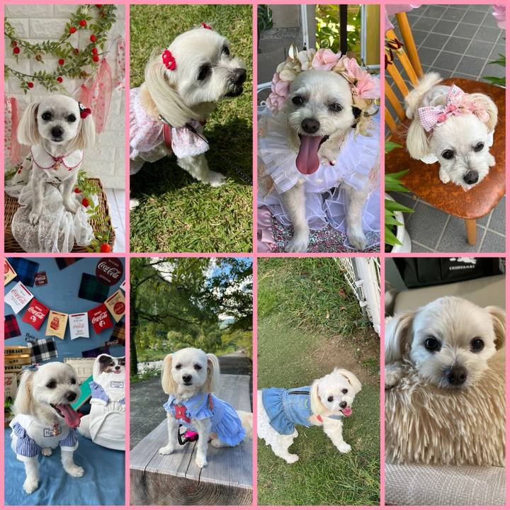 98959c03 3586 4a99 a9f3 0878535dacfe 1704001033308