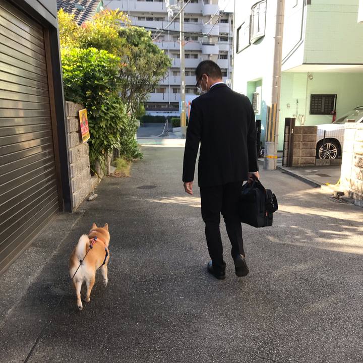 9895bafb 968b 4295 a5e2 078efaaea551 1541148472092