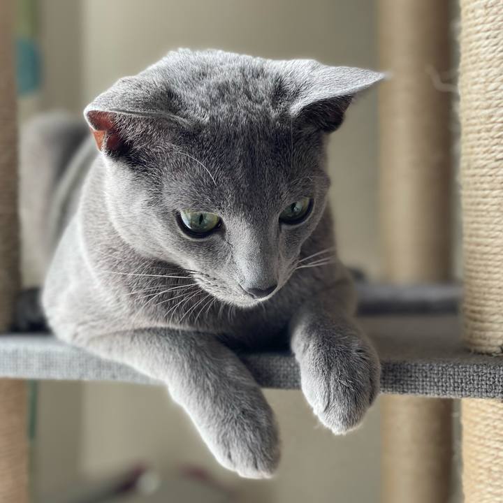 9895bb83 2905 401f 9d4f 5caf3157aa36 1613272469835