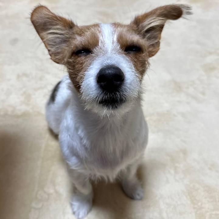 9895d47c 46aa 4a42 b84f 9a641af27354 1762811039837