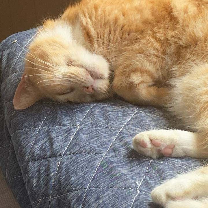 989601d2 8ec3 474e a435 3cfc77a2967d 1620439913364