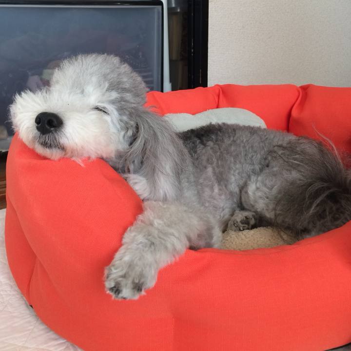 9896060c 1969 486e a8cf adc5ae1cc2ff 1717989973970