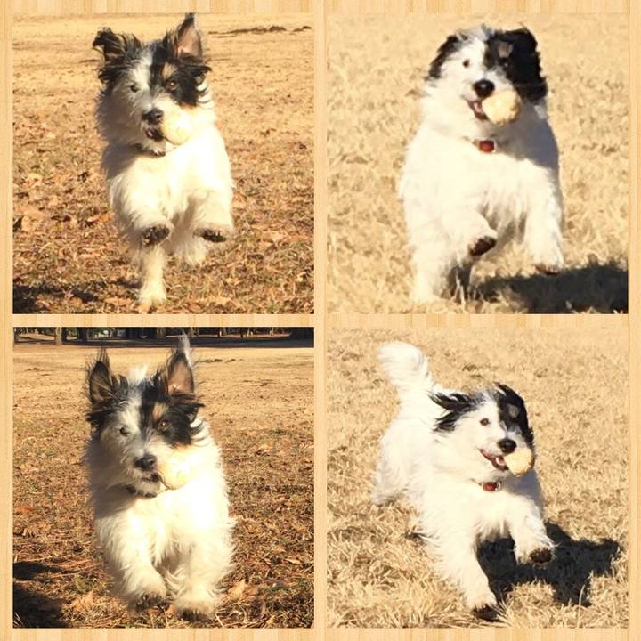 98960a4c 9e1a 4365 83c1 ac8e72d39fcf 1516449945338