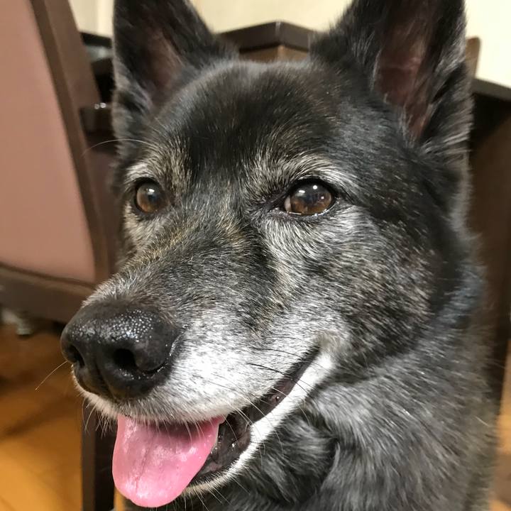 98962241 a372 4e92 9c02 f4d06352de1a 1531480473426