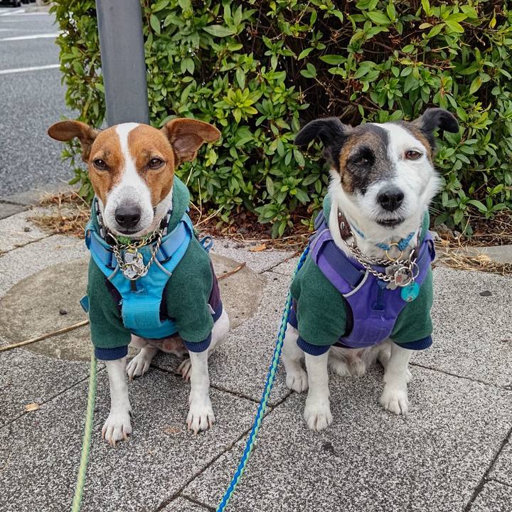 98963f11 7348 4a78 bf79 9431b2f86c88 1667614178912