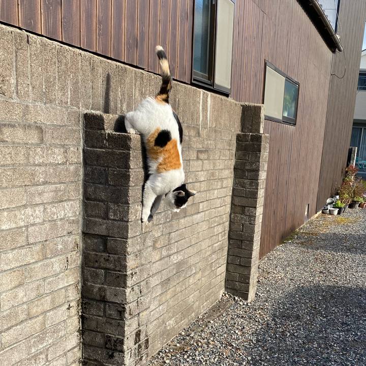 9896700c 3b30 4e85 921a 46cd872666da 1642416999039