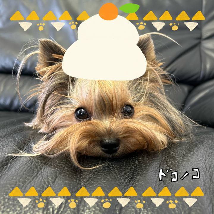 98967e36 93b7 429b 8f1c f7df0a44c5f4 1704094856221