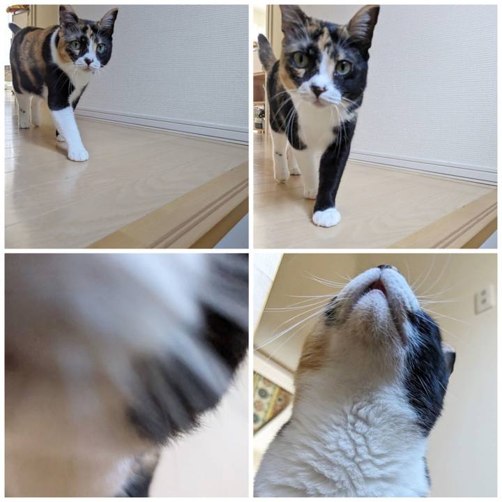 9896df5e d93b 44a9 b422 c17dc40bb8ea 1689224522857