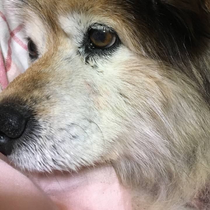 98971ec0 c9d4 4616 92e8 4ccb734dcb5c 1600418354163