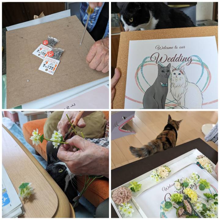 98972ba9 bdf9 47e9 a0fa b1e604fceb6f 1688357473606