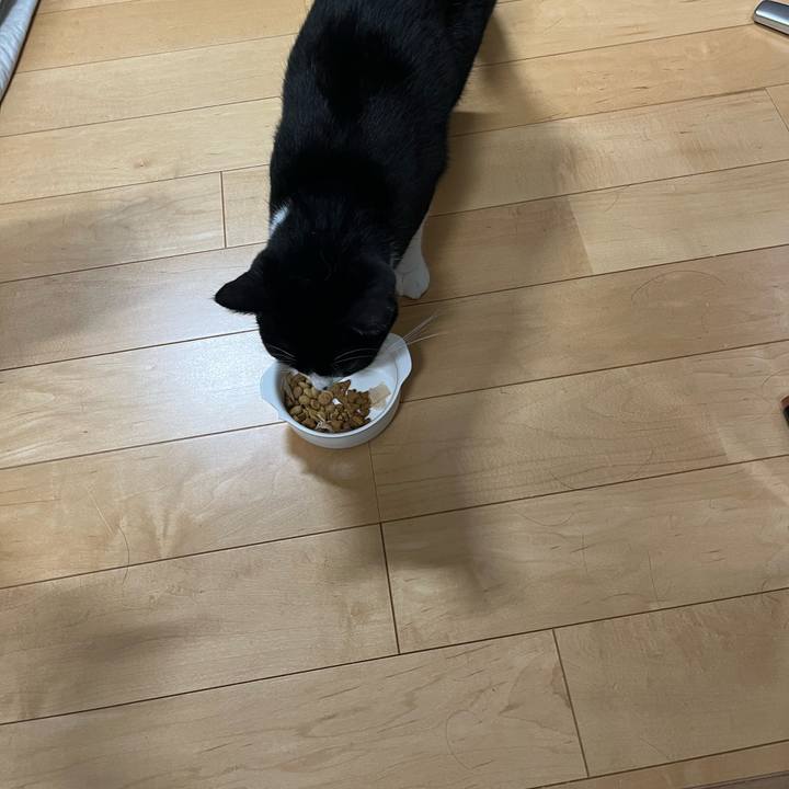 98973c80 d04d 4131 bddc c255958b92e8 1698322393263