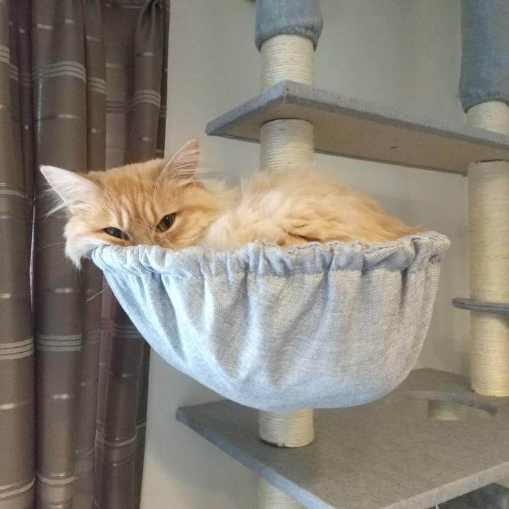 98975bf5 35ae 4644 9fd3 fde6a69a507f 1651384034754