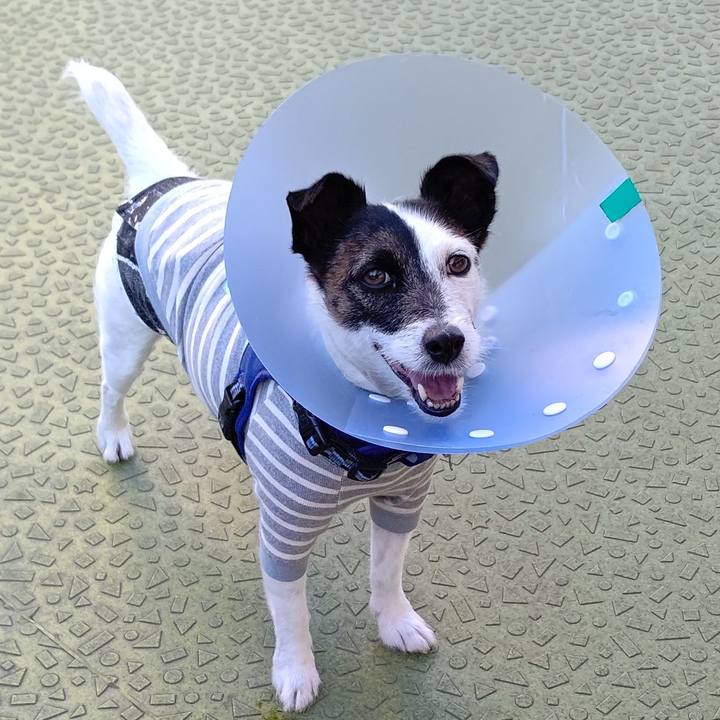 98977286 ae86 475c a81a d8492d431fac 1669376132504