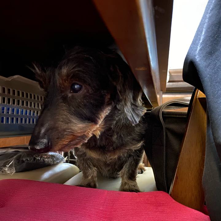 98977bb6 3a22 4638 b34b ba9aae7138af 1580650893513