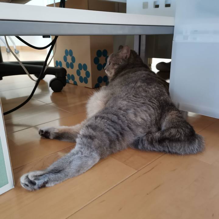 98978a13 feb7 48b7 939d 63af5466c184 1600142658374