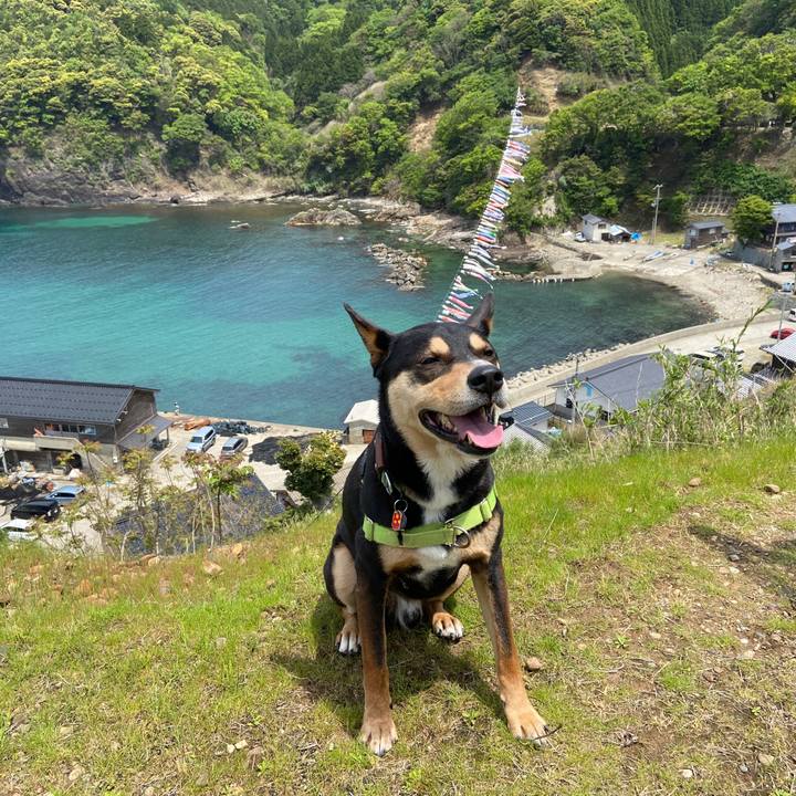 9897d940 1a38 4fc5 801e 014c303d6906 1620136304518