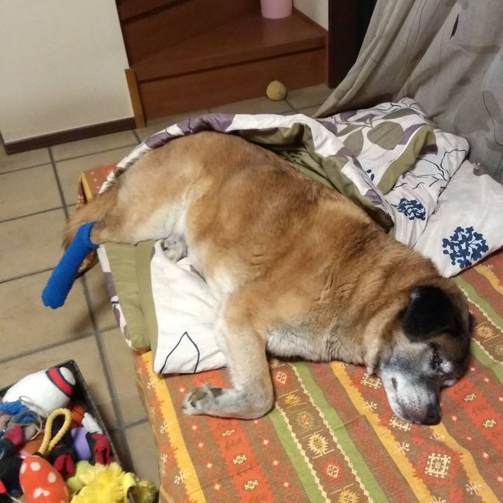 98981f54 dbd4 495a 8829 28b1a5f7532c 1562596341189