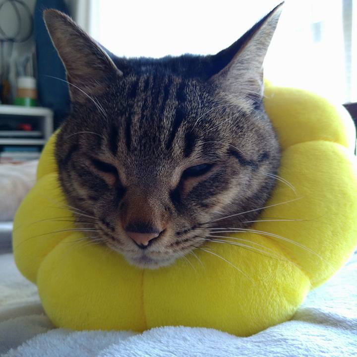 989839b9 ccf4 4029 a707 fb8401d106e9 1733621421687