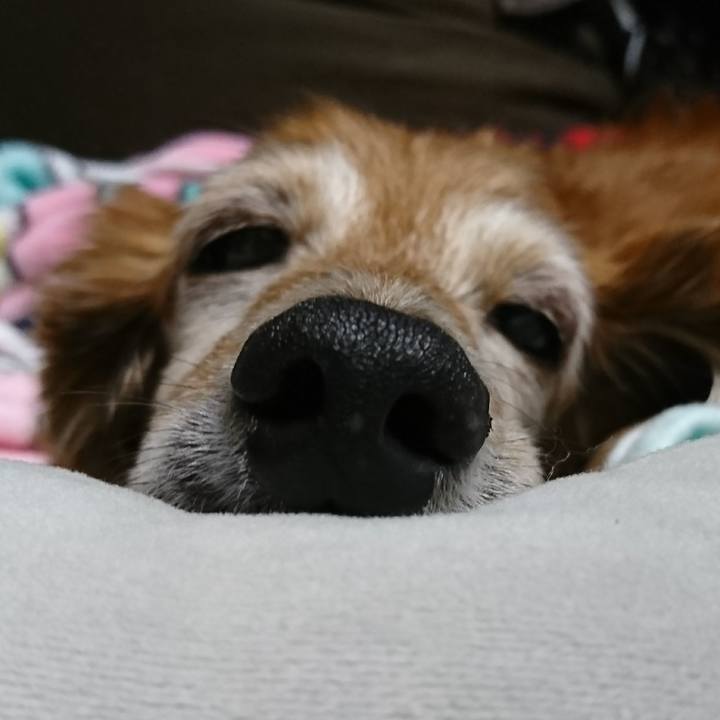 9898791d ecee 4309 b6de fa88b5ed7adb 1509471213150