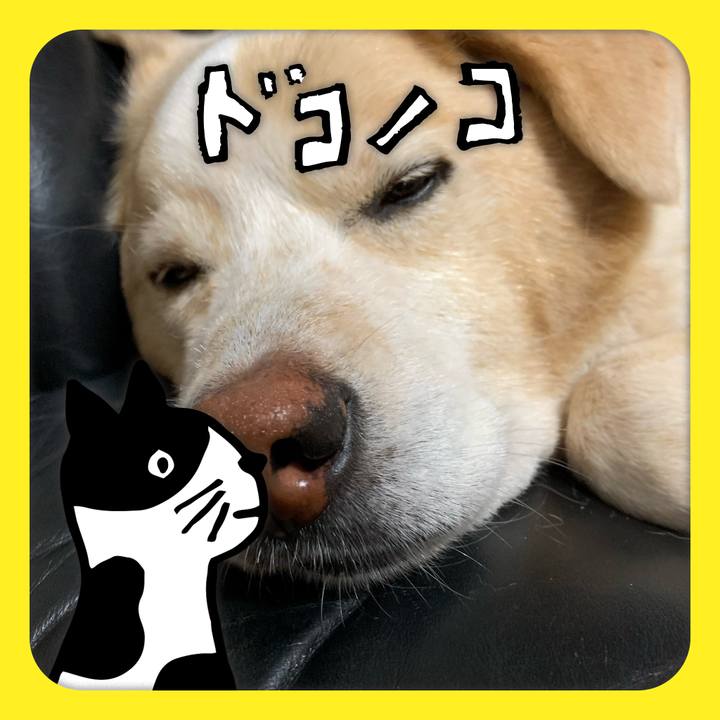 98988122 04ed 47b5 befd 0ee872545d8f 1622891112314