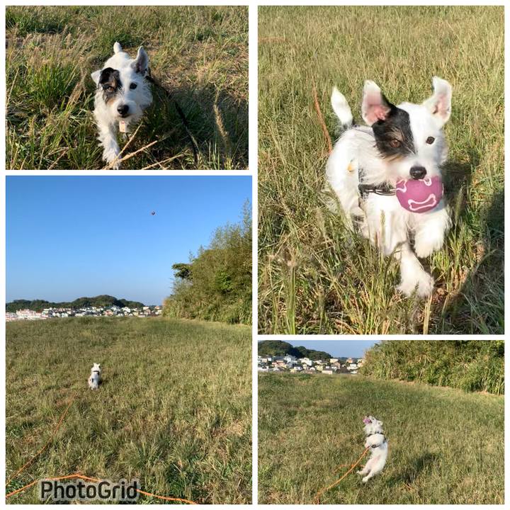 9898b5c2 757d 4529 b21a f90dd2bed6af 1698363780631